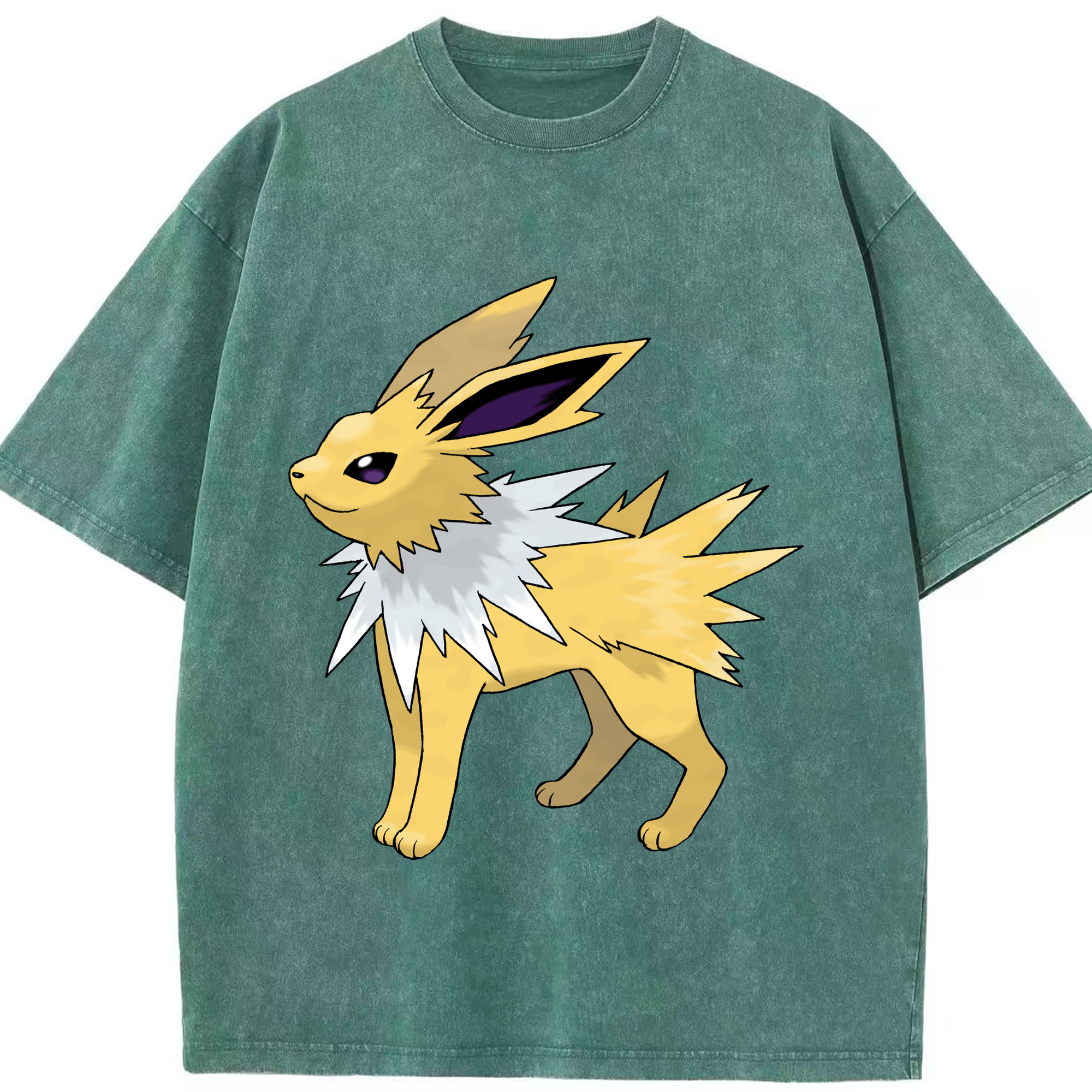 （画像用） ポケットモンスター Pokémon 綿100% ヴィンテージ風 半袖Tシャツ（フロントプリント）